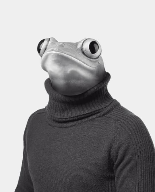 TinyFrog